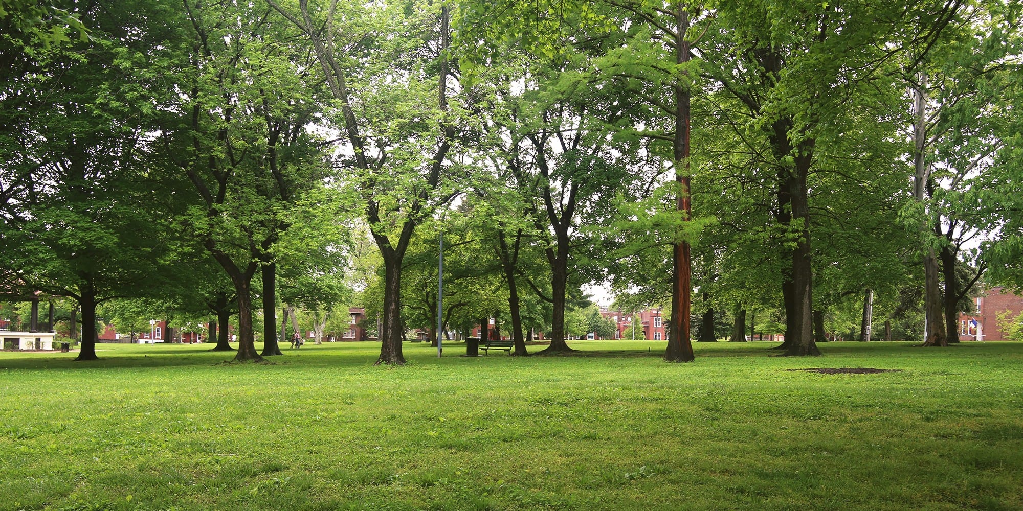 Green grass and leaves in Gravois Park. Photo by Paul Sableman.