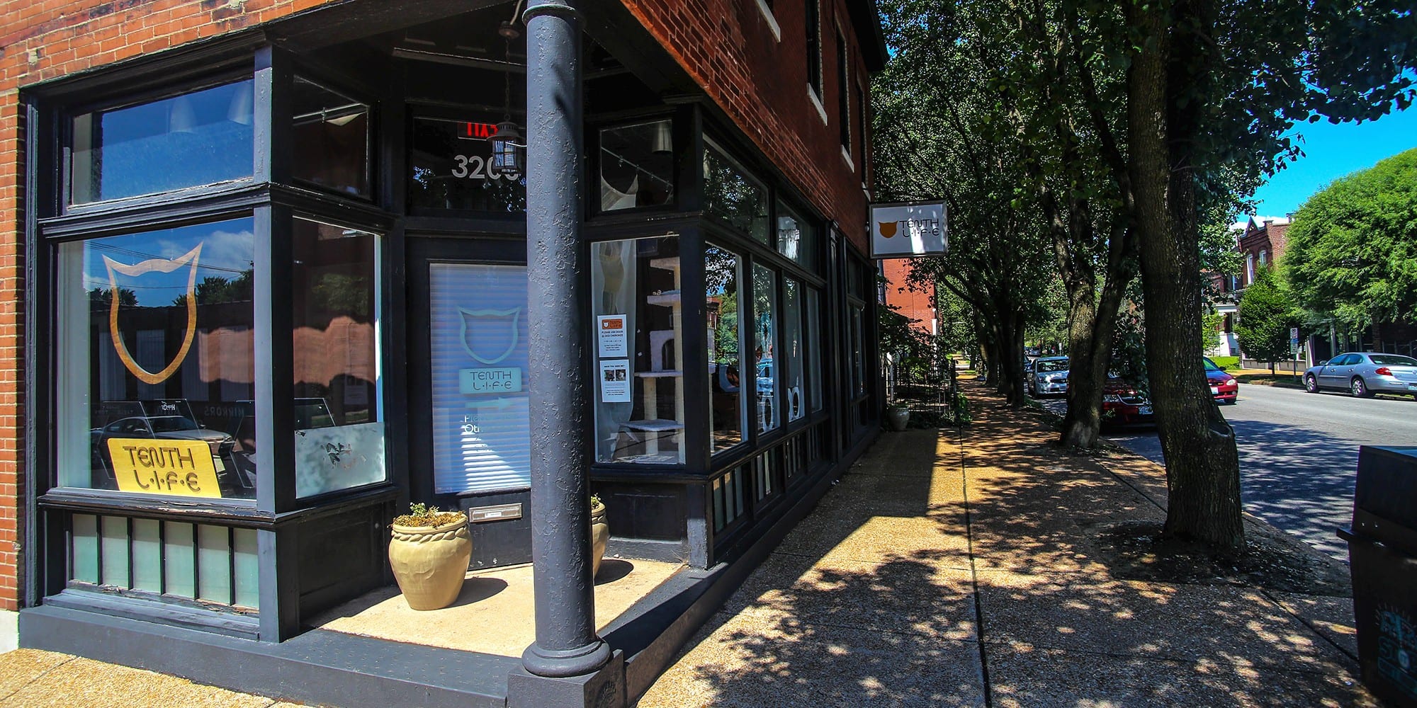 Tenth Life Cat Rescue on Cherokee Street. Photo by Paul Sableman.