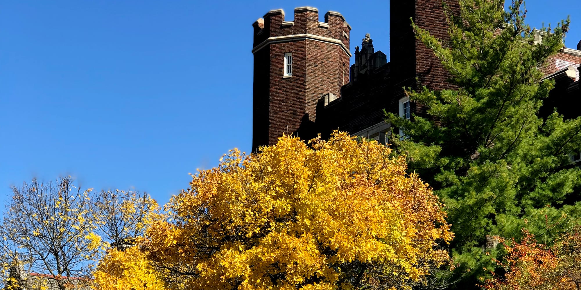 Fall foliage at Cleveland High School.