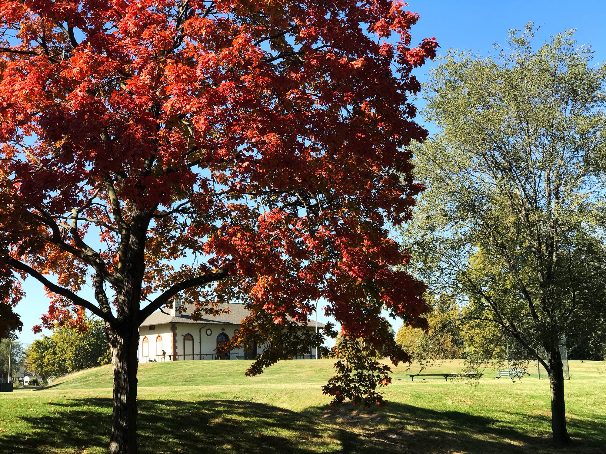 Marquette Park in Dutchtown.