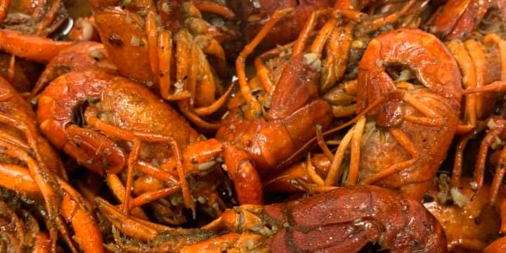 Crawfish from Joyful House Vietnamese Restaurant in Dutchtown, St. Louis.