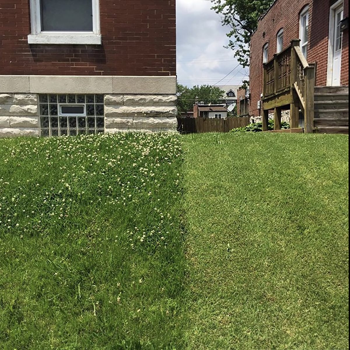 Lawns in Dutchtown, St. Louis. Photo by Josh Burbridge.