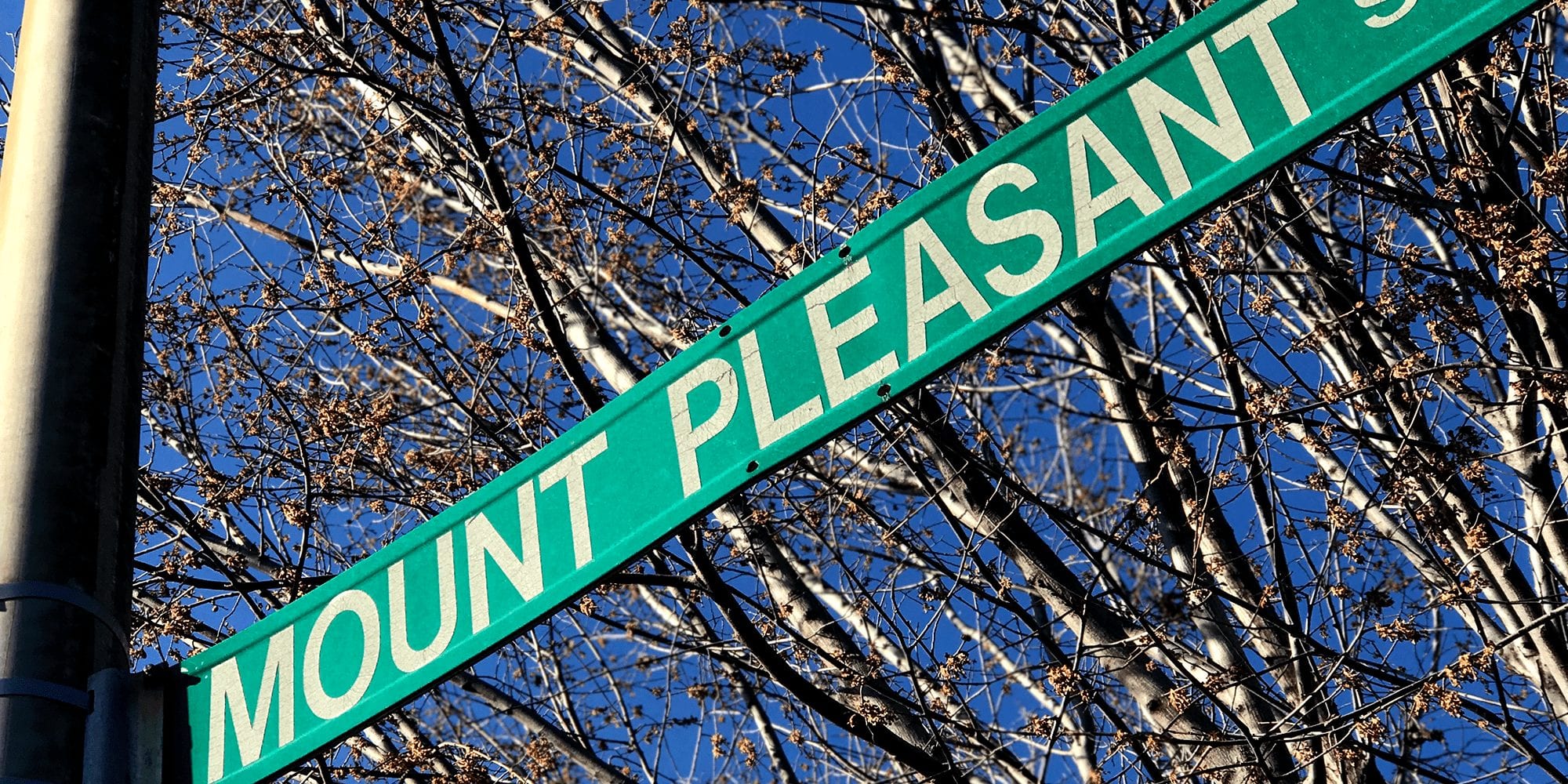 Mount Pleasant Street in the Greater Dutchtown neighborhood.