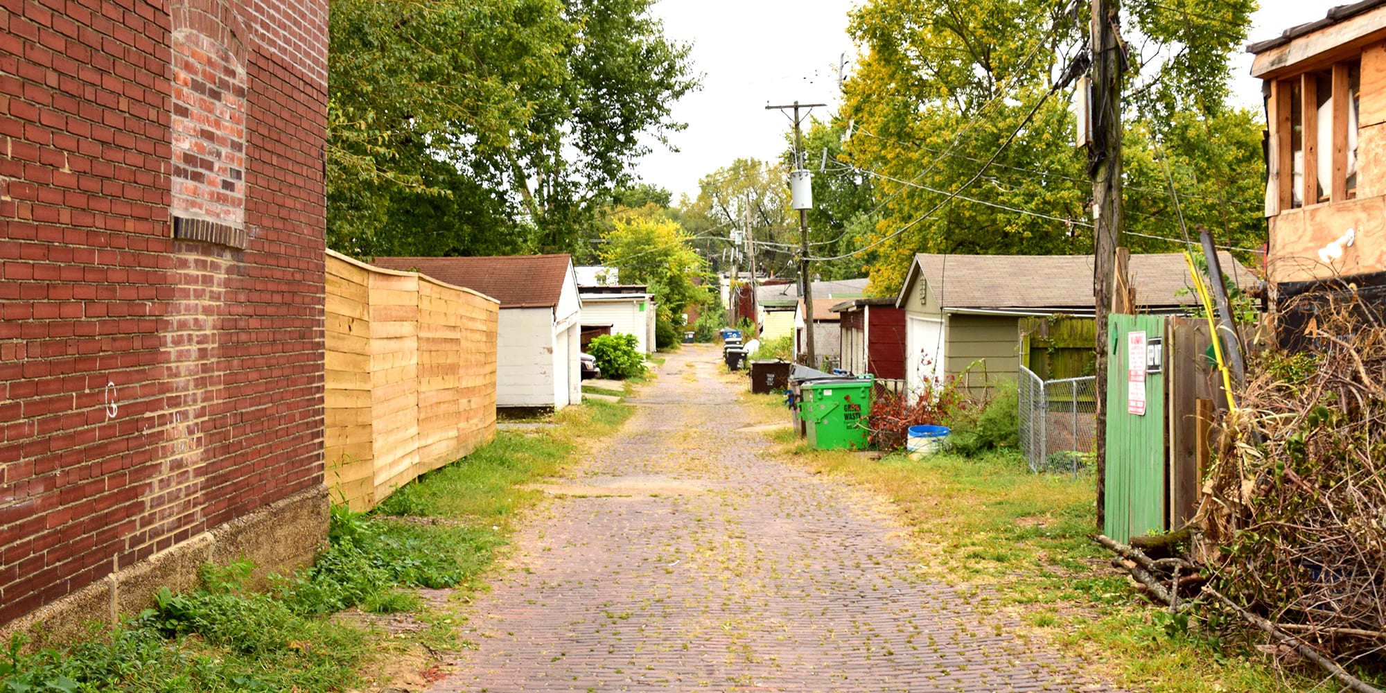An alley in Dutchtown, St. Louis, Mo.