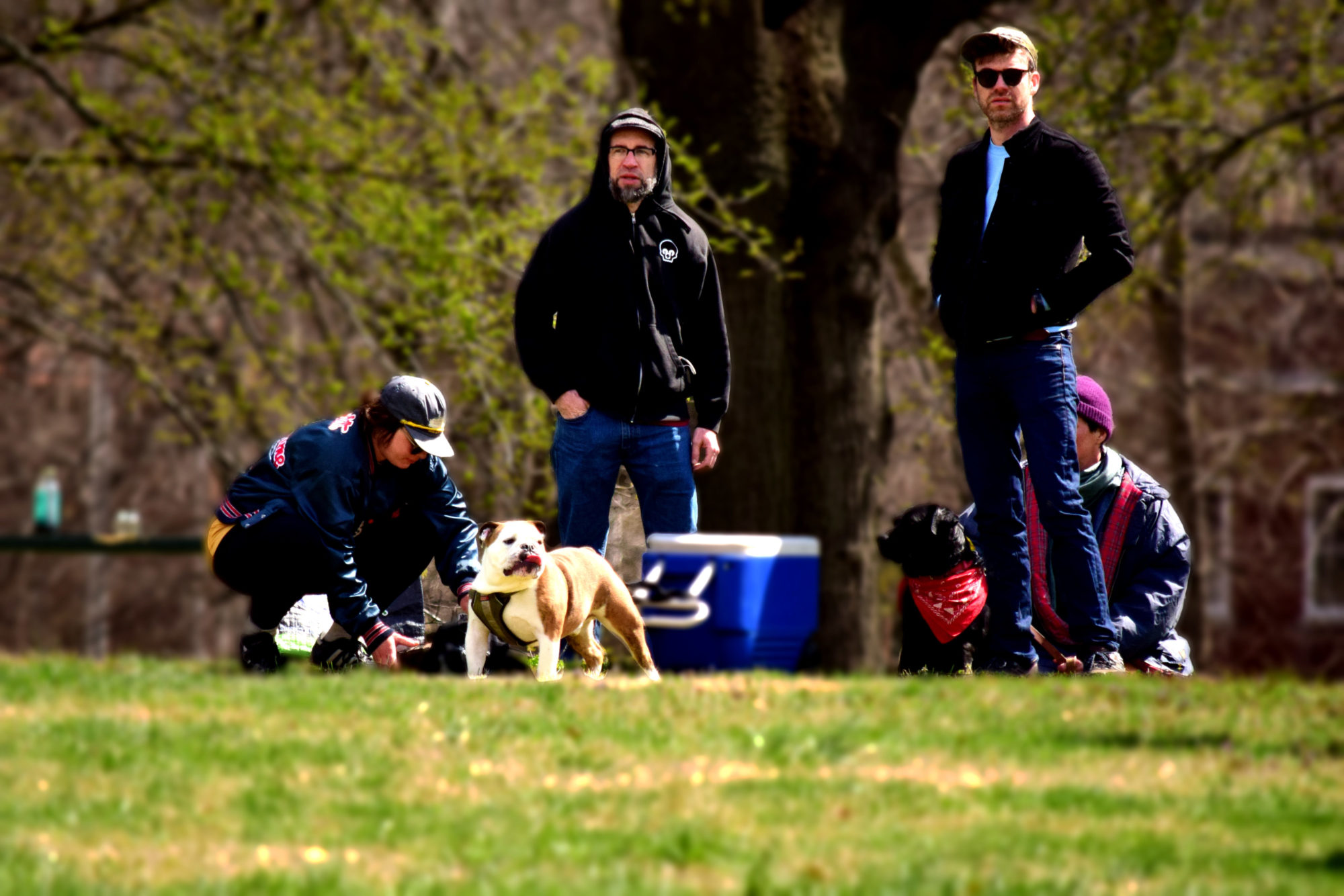 Neighbors at Marquette Park in Dutchtown, St. Louis, MO.