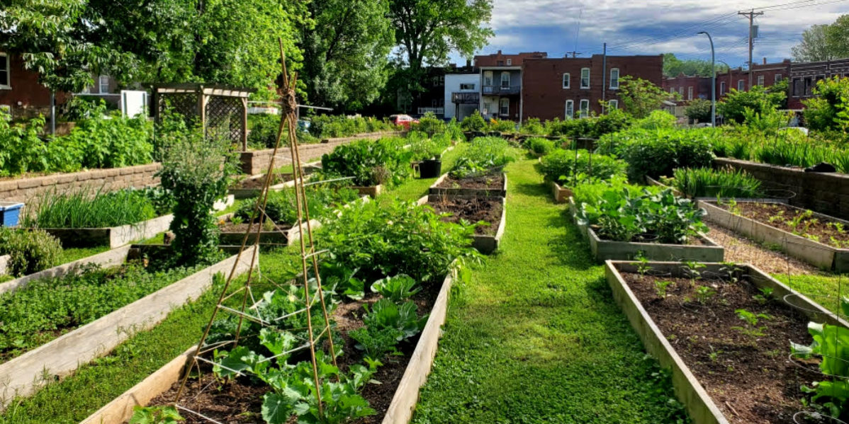 Beds at the Dutchtown Community Garden, also known as the VAL Garden.