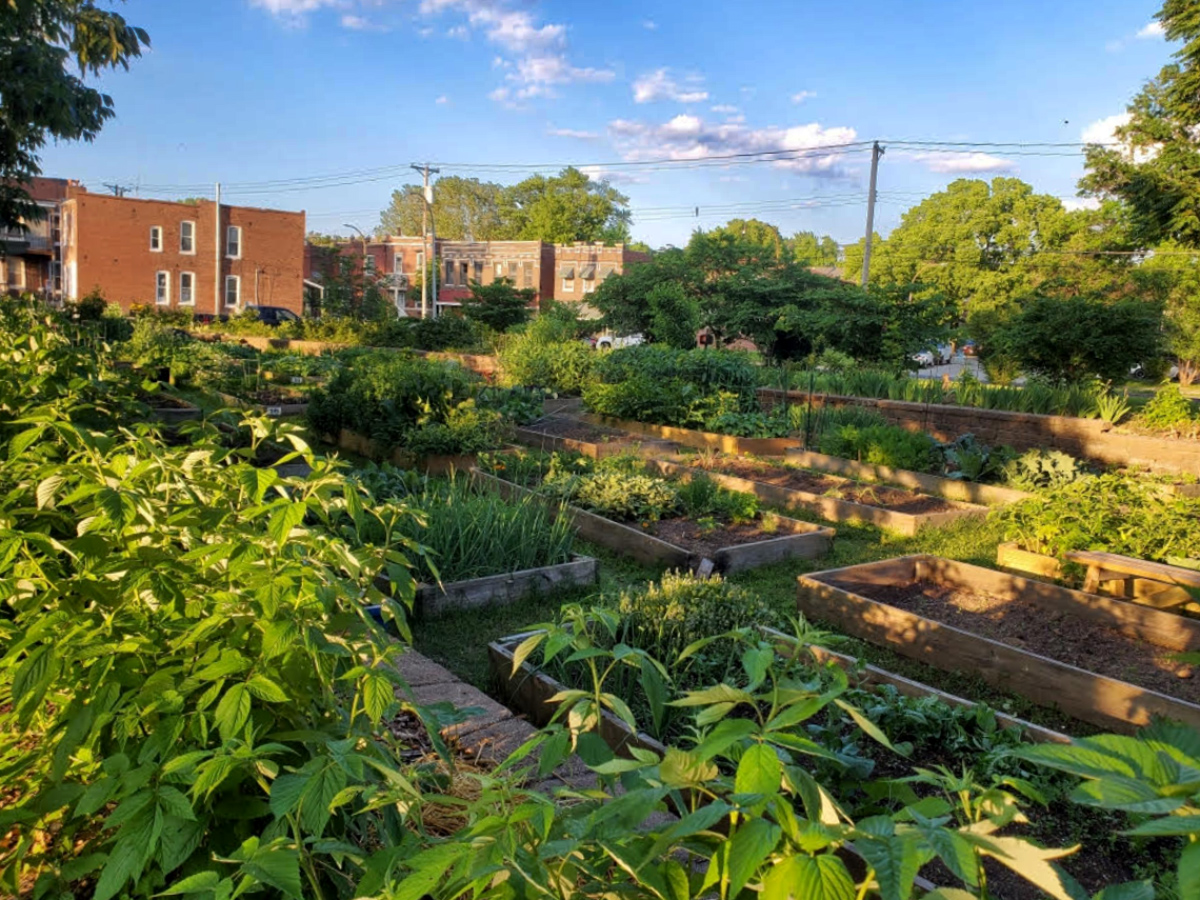 Beds at the VAL Garden in Dutchtown, St. Louis, MO.