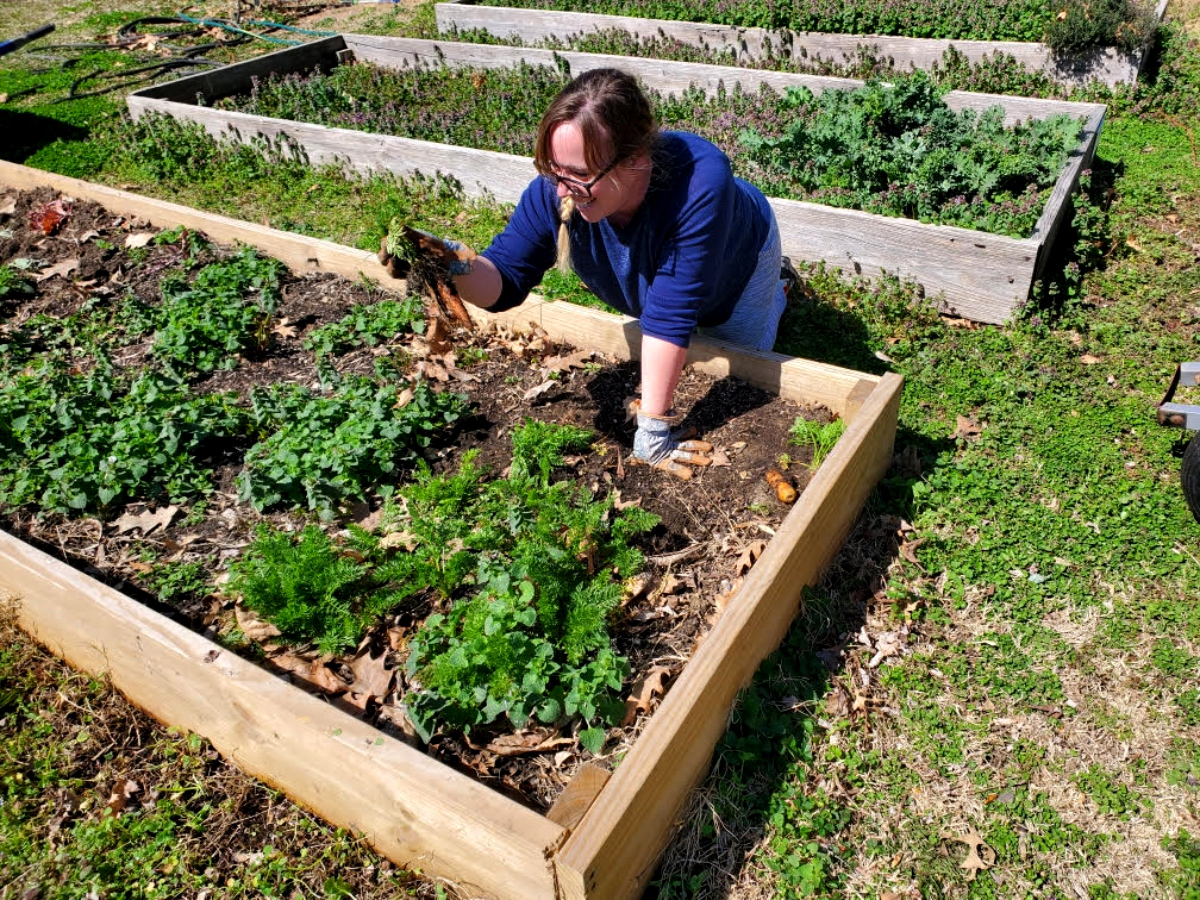 A gardener tending to beds at the VAL Garden in Dutchtown, St. Louis, MO.