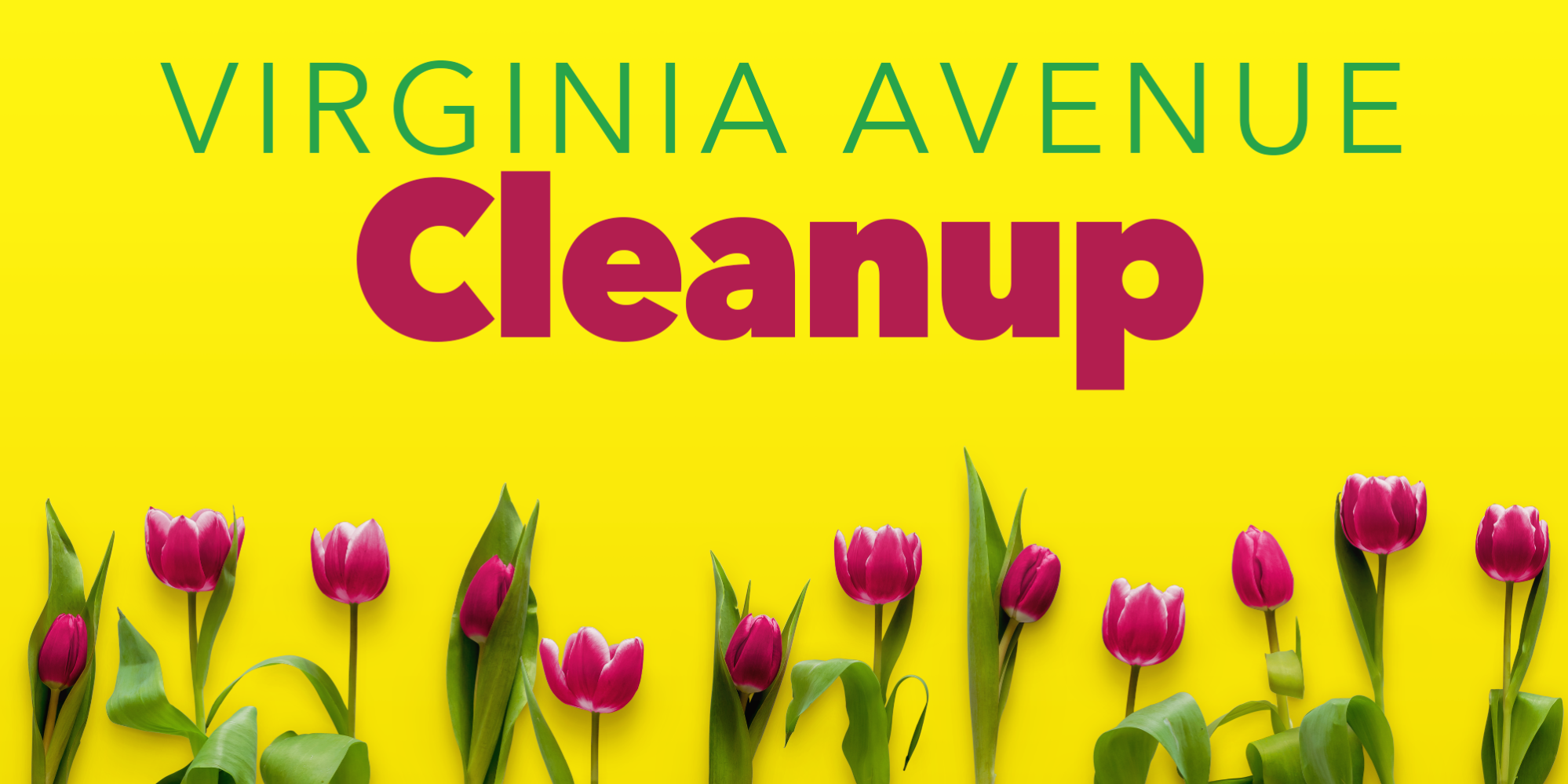 Virginia Avenue Cleanup
