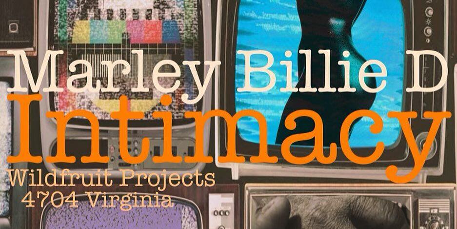 Marley Billie D.: Intimacy: Into.Me.See, a new exhibit opening at Wildfruit Projects in Dutchtown, St. Louis, MO.